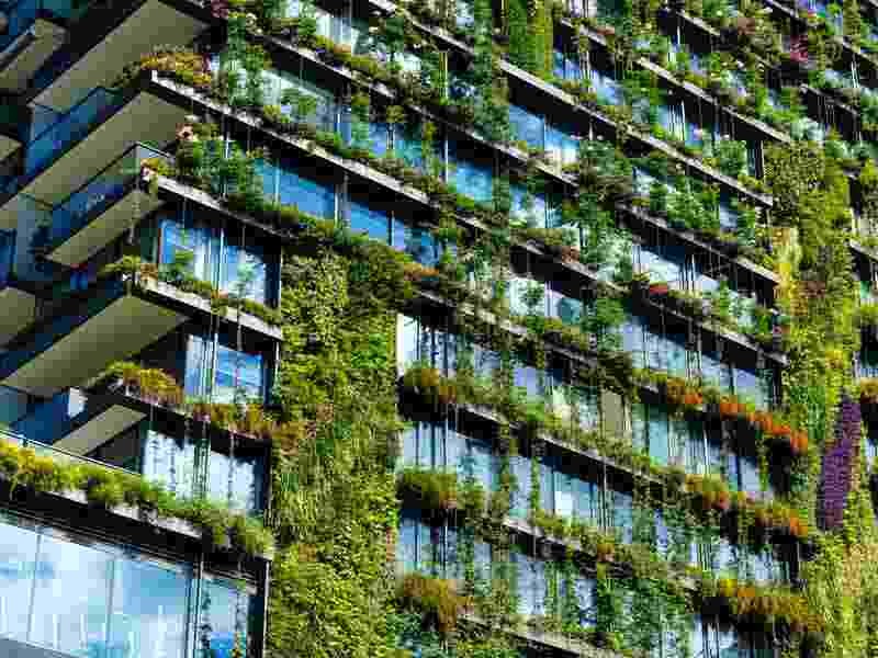 Verticle green infrastructure of JLL office