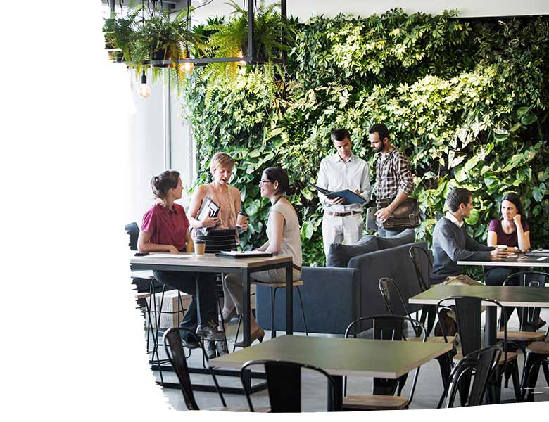 Groups of people meeting around the tables and couches of a trendy office building with a vertical green garden wall
